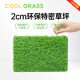 COOLGRASS Rooftop Simulated Artificial Lawn Insulation Sun Shade Sun Protection Silencer Sun Room Roof Terrace Outdoor Fake Lawn Carpet 2cm Special Density (1 Meter Width) Take a few pieces and send them to a few meters