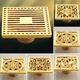 OUWEI OU GOLD COPPER DÉODORISIR TEE-VOIR DÉGARGE DU PLANCHE ÉPARGE CORE ENVILLE SALLE DOUCHE MACHE Machine de cuivre humide Gol de cuivre 6625 Modèle à double usage