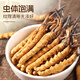 Yuanjiang трава cordyceps sinensis 3 корни/г около 3,3 грамм 10 корней высокогорного подарка Cordyceps подарок на кот отца подарок