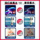 兄弟原装BT-D60BK 5009连供墨水盒DCP-T310 T510W T710W/725 425W 【原装盒装】5009Y黄色48.8ml