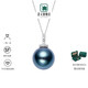 Qianpei Black Pearl Seawater Pearl Diamond Buckle Pendant for Women to Give to Lovers and Elders 13 Pendant does not include chain