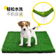 Qingya Artificial Turf Pet Toilet Mat Artificial Carpet Mat Fake Turf Balcony Simulation Decoration Dog Cat Urination 3cm Special Thick New Upgraded Green Base 1 Meter Width 1 Meter Long