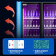 Chigo Displayschrank kommerzielle Wein- und Getränkekühlung sowie frische Aufbewahrungsschrank Supermarkt Bar Convenience Store Gefrierschrank Obst Bier luftgekühltes frostfreies Displayschrank 690 Liter 丨 Double Door Air-Cooled-Modell 丨 Drei-Farben-Licht