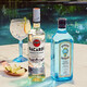 Bacardi White Rum 750 ml + Mumbai Sapphire Gin 750 ml Fremdweinkombination