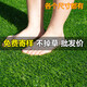 Fake lawn simulated artificial turf plastic green carpet rooftop balcony roof sun room villa courtyard outdoor 2.5 cm thickened extra dense spring grass 4 meters wide 1 meter long artificial cutting