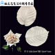 Junmo Rose Tulpe Blume Fondant Silikonform Pflaumen Blütenblätter Blattform Zuckerblume Doppelstück Clip Form dreidimensionales Modell 826 Pfingstrose großes Blütenblatt a