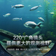 Chetujiang fish finder underwater high-definition camera can show anchor fish display night vision underwater fish viewing device camera fishing
