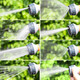 NUEVA FLOR FLEWERE DE AGUA DE AGUA DE AGUA DE AGUA DE AGUA DE AGUA DE AGUA MÁGICO JARDINA MÁGICO JARDÍN GARDÍA AGUA AGUA AGUA VEDERA SN3883 AGUA AGUA Pistola