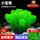Crazy aquatic plants (FKSC) fish tank aquatic plants, real aquatic plants, purify the bottom aquatic plants, banyan crown grass, lying on the ground, short pearls directly into the tank, small pagoda, small tuo