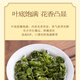 轩中鹤【铁观音】安溪铁观音乌龙茶花香浓郁自己喝送长辈 铁观音5g*3袋【亏本试喝】