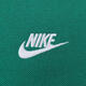 NIKE耐克男子运动T恤夏季休闲短袖FN3895-365 FN3895-365 2XL