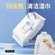 Sha Xiaoqing Cleaning Wipes Down Jacket No-Wash, Easy to Carry Wipe Household Cleaning Artifact, Down Jacket Small Packet of 12 Pieces, Easy to Carry 1 Pack