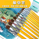 Chunrui 826 Water Chalk Art Students' Special Acrylic Brush Wolf Hair Oil Brush Set Student Pigment Color Pen 6 Double Numbers (2 4 6 8 10 12)