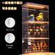 
Desktop Pop Mart Display Box Light Glowing Display Box Display Cabinet Acrylic Transparent Display Box Medium Top Light with Ladder Two-Level JY6623D
