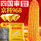 New species Fengda Jingke 968 corn seed, high yield, drought resistant, short stem, disease resistant, big stick resistant to lodging, Academy of Agricultural Sciences variety, new species Shikoku Shenjingke 968 4000 grains, 5 bags
