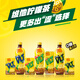 Vita Milk Vita Lemon Flavor Tea Drink 310ml*24 Cans Canned Lemon Tea Mid-Autumn Gift Sharing Pack