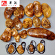 仙来阁【新品】太行崖柏虎皮纹手把件陈化料红黑油天然随形闻香文玩根雕 C653#