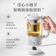 Bear Health Kettle Kettle Tea Maker 316L Stainless Steel Mini Small Capacity Tea Kettle Mini Small Portable Insulated Electric Kettle Gift YSH-E06H1 316L Stainless Steel 0.6L