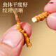 Lei Yun est allé au magasin phare Cordyceps sinensis Cordyceps Goods secs de haute qualité et tonics haut de gamme Cordyceps Sinensis 20g [Effectif élevé pour votre propre usage]