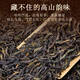 大山芸润【凤凰单丛】茶叶潮州单丛浓香型鸭屎香乌龙茶自己喝送礼 【5g*2袋】共10g