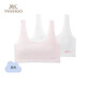 British 2-piece children's underwear junior high school students and students girls' bras in stage 1 and 2 stages 8-16 years old developmental underwear white pink [Stage 2] 2 pieces suitable for 12-16 years old 170