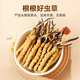 Tongyongtang Cordyceps sinensis 3 roots/g 10 grams 30 roots high-quality Cordyceps gift box tonics parents and elders gifts