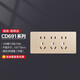
(DELIXI) Socket panel concealed CD691 series 118 type two-position five-hole 10-hole socket panel champagne gold type 118 type fifteen-hole
