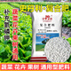 Stanley Stanley Compound Fertilizer Universal Vegetable Agricultural Flower Fertilizer Planting Vegetables Organic Fertilizer Green Plant Potted Nitrogen Phosphorus Potassium Fertilizer Universal Compound Fertilizer 1Jin Jin is equal to 0.5 kg