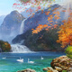 Emperor Flag Hand-painted Oil Painting Swan Lake Landscape Oil Painting Atmospheric Living Room Wall Mural Painting Sofa Background Wall Decoration Painting Landscape Hanging Painting 692 Gold Solid Wood Frame 160X80 Spot, three-person sofas are suitable