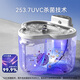 HIPIDOG NOUVEAU CAT DISTRANSE DE L'EAU CONTUNÉE TEMPÉRATION CHAUT MACHINE CAT AUTRE ANTÉRIEUR PET AUTOMATIQUE AUTOMATIQUE DISTRONNEMENT D'EAU DISTRANS