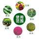 Factory direct sales of urea fertilizer for agricultural use 10-100 Jin Jin equals 0.5 kg, quick-acting nitrogen fertilizer for vegetables, general flower fertilizer for growing vegetables, Dongping Lake large particle urea (50 Jin Jin equals 0.5 kg subcontracted)