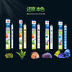 JUWELJUWEL德国黑钻鱼缸专用T5LED灯管12W14W19W23W29W31W照明直径16mm LED白光T5 Day1047mm 瓦数随机