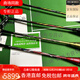 YONEX礼物疾光800 NF800LT NF700BP LTD NF800LTBP 紫金NS9900 4U NF700LTD G5 限量金色 CH 空拍