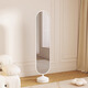 Panda Spring and Automne Miroir du sol en plein corps miroir ménage miroir de luxe de luxe Miroir en rotation Girls Camor de chambre à coucher en plein air miroir de luxe léger Gold 175 * 40