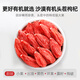 Qilixianghong Wolfberry Erste Bio-zertifizierte Spezialgröße großer Obst Wolfberry 250 g schwefelfreies neues Produkt Qinghai Free Wash Gouqi