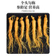 Qingqitang Changbaishan Ginseng Ganzes mit Geschenkbox in Wein und Suppe Tonic Northeast Specialty Vatertagsgeschenke für Älteste eingeweicht