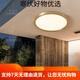 心镜全铜户外吸顶灯别墅大门口门前灯室外过道阳台灯防蚊虫庭 X3893-500/方形