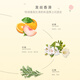林肯浓香精油祛屑控油蓬松洗发水+丝滑柔顺洗发水实惠两瓶洗发露留香