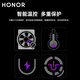 荣耀（HONOR）亲选SEMZUX 手机散热背夹游戏直播降温背夹式散热器18W高功率结冰级极速降温苹果华为安卓手机通用 荣耀手机散热背夹【黑色】