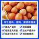 Fu'an Muzeng Danling Chicken Egg Laying Special Chicken, Duck and Goose Egg Laying, Egg Production, Egg Reduction and Egg Quality Improvement Egg Duoduobao Feed Additive Zengdanling 1kg/bag 1 bag (a total of 2Jin Jin is equal to 0.5kg)