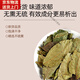 Beijing Tongrentang Green Money Willow Tea Jinqian Willow Tea Leaves Soaked Water Blood Sugar 500g Sanjiang Green Money Willow Crop [New Leaves of Ancient Trees] Green Money Willow Original Leaves 100g Bag