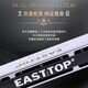 East Top 24-Loch eingebettete polyphonische professionelle Mundharmonika T2402 2.0 Blaugitter