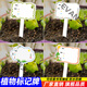 Xushansi Kindergarten Simulation Pot Brand Gardening Simulation Flower Pot Simulation Label Signage Succulent Care Brand DIY Handmade YHCD-04 10x16cm