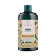 The Body Shop Ginger Shampoo Shampoo 400ml Anti-dandruff control oil to prevent detoxification and strengthen hair quality