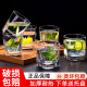 青苹果（QINGPINGGUO）透明玻璃杯套装家用耐热泡茶喝水只装 装/葡萄园矮款[送杯刷6190ml