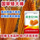Golden grain 136 corn seeds, stable yield, large sticks, short stems, disease resistance, lodging resistance and drought resistance, corn grains in the north and south are in stock. The national approval ton yield is 136 per acre (3Jin Jin is equal to 0.5 kilograms)