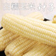 Sowing mood super sweet waxy corn seed black sweet waxy sticky colorful waxy fruit corn seed larvae field high yield big stick easy living hybrid <National Approval> white sweet waxy corn seed 1 pack 100g No Specifications