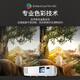 NEC CE1105 CE1106高清投影仪商务办公教学培训白天直投可手机同屏 NP-CE1105【3300流明】 官方标配