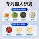 Peking Tongrentang Gastrodia Eucommia Ulmoides Blatt Pingwo Ju Sanqi Tongluo Tabletten Gastrodia Sanqi Tongluo Tabletten mittleren Alters und ältere Gelenkschmerzen acht Flaschen [Konsolidierungsausrüstung] offizielles Geschäft Peking Zi Flaggschiffgeschäft