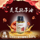 美国品牌进口灵芝孢子油胶囊 成人品破壁灵芝孢子粉浓缩萃取